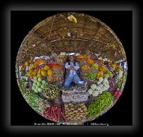 fruitvendor180books